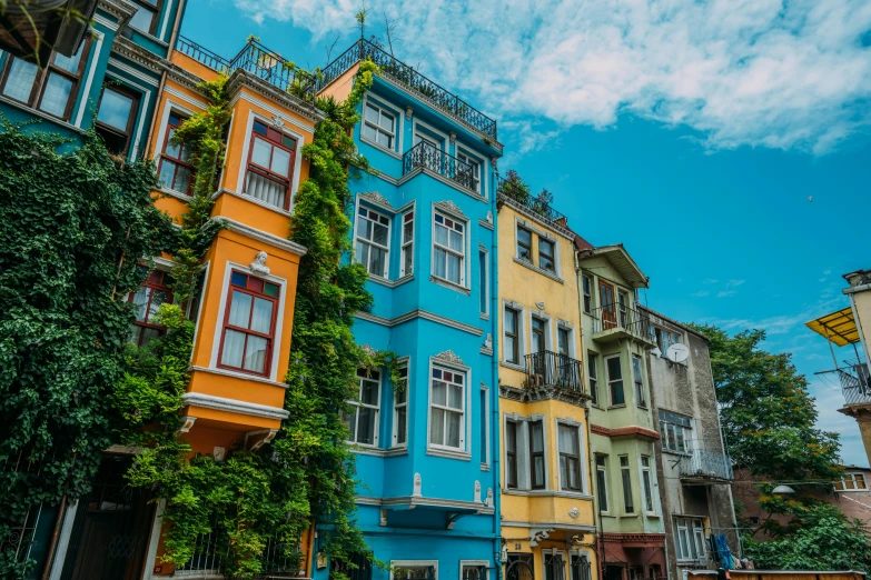 row of old houses with ivy growing in the window sill