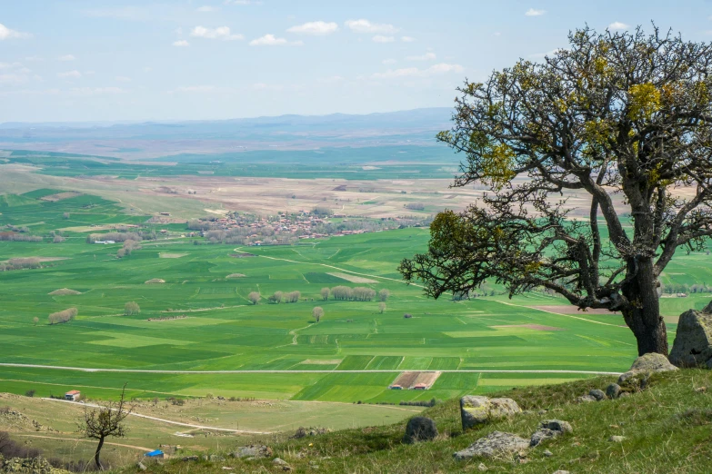 the view from the top of the hill looking over the fields