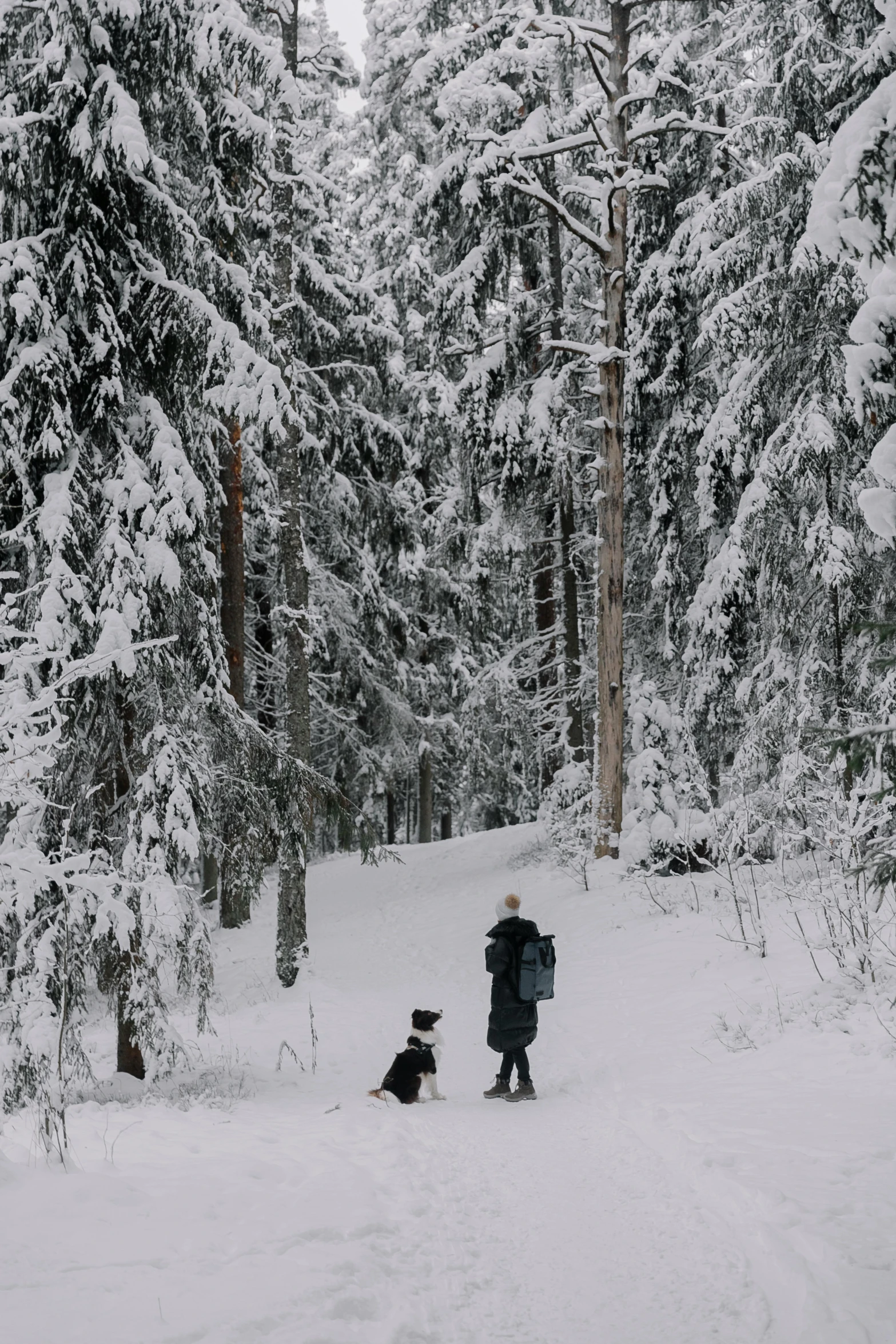 the woman and her dog are in the snow