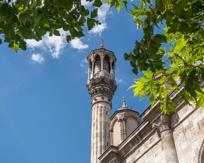 the clock tower is near many trees on a sunny day