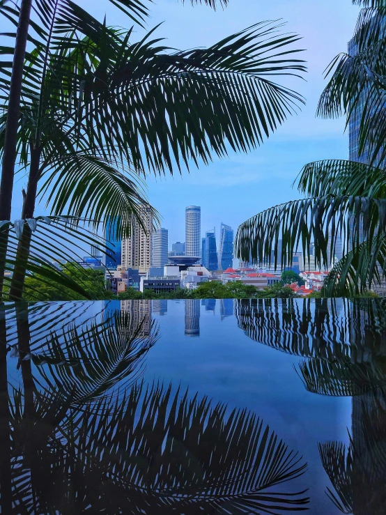 some palm trees are in the water near some buildings