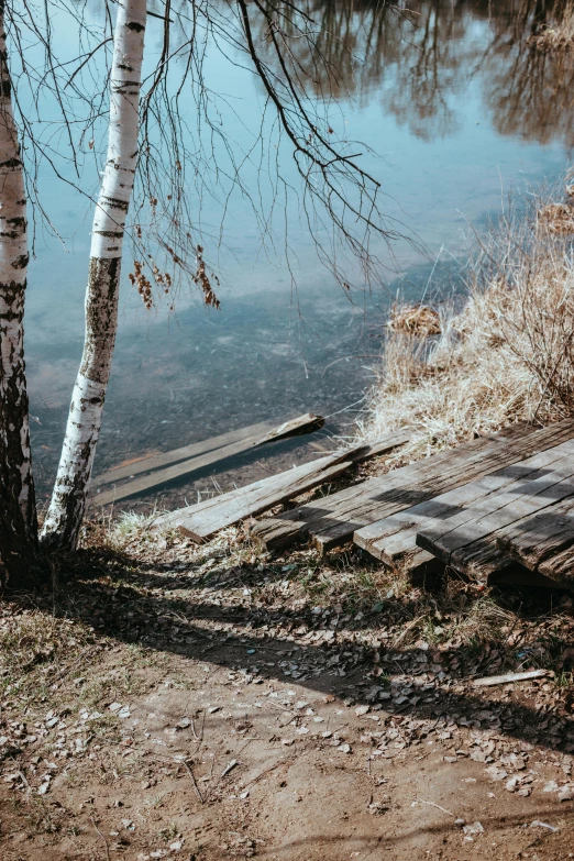 the shore line of a lake with some trees and water in the background