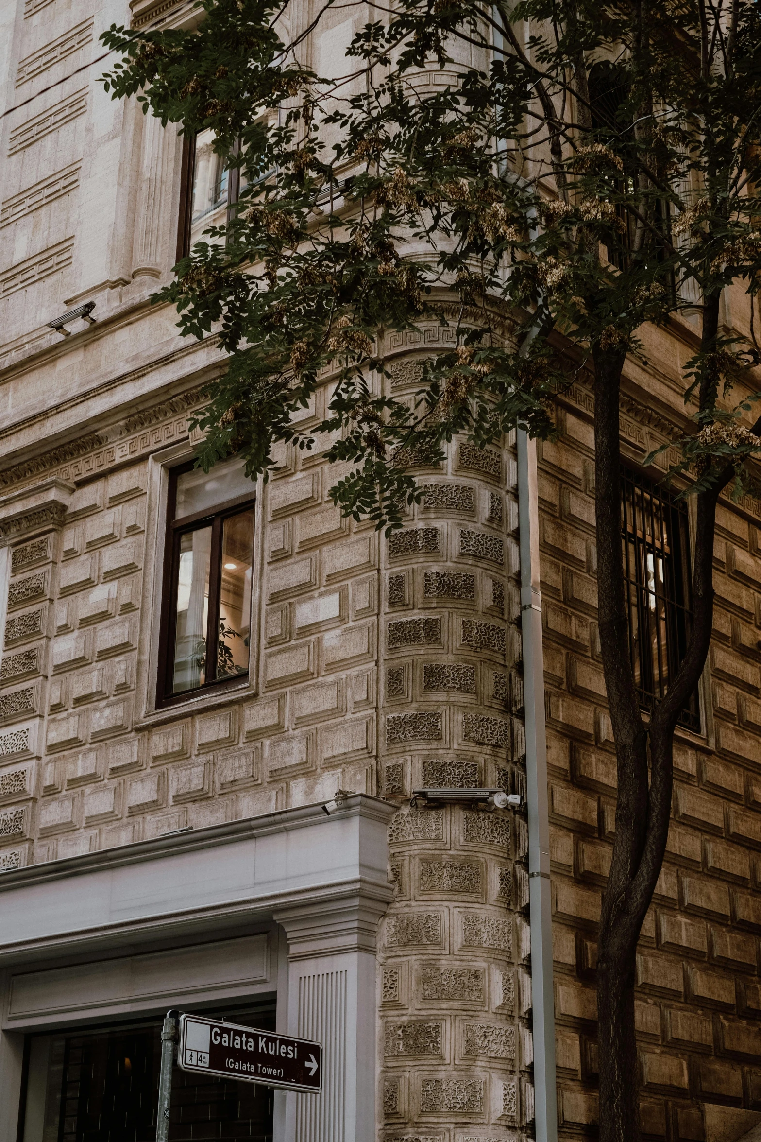 a view of a tree outside a building