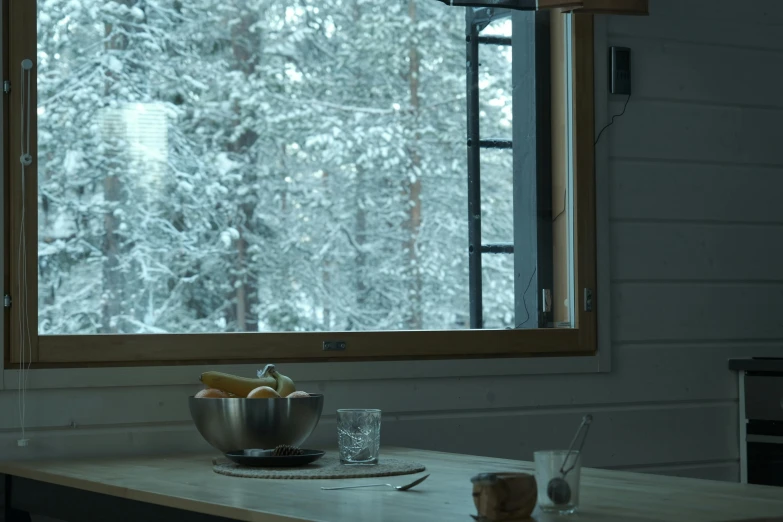 bowl of fruit on the counter next to a window