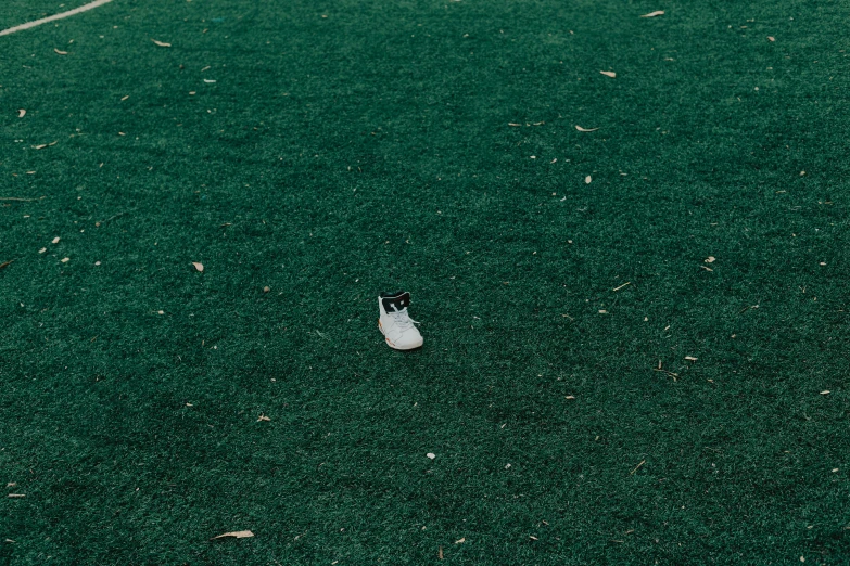 a bird with its head inside of an empty plastic cup