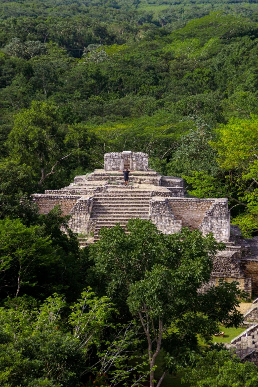 an ancient pyramid sitting in a wooded area