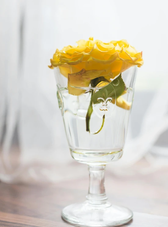 yellow flowers in the water inside of a wine glass