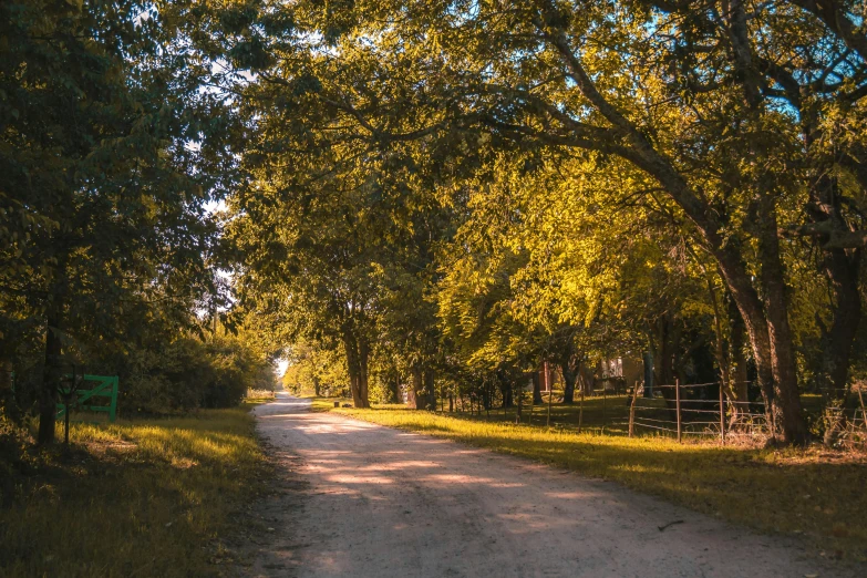 a country road through an area with trees