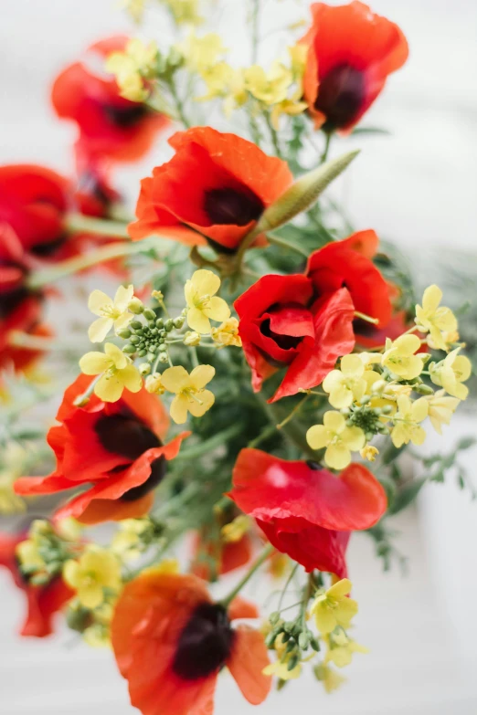 many colorful flowers in a vase filled with water