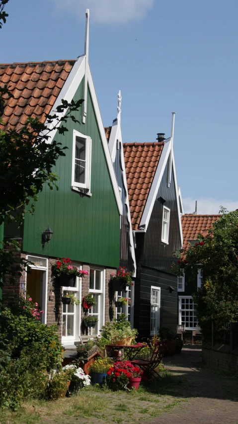 houses with two sides are painted green