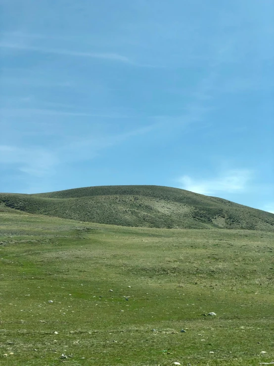 a lone animal walking across a grass covered field