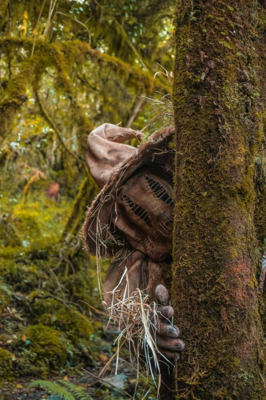 an old statue of a human being dd in moss