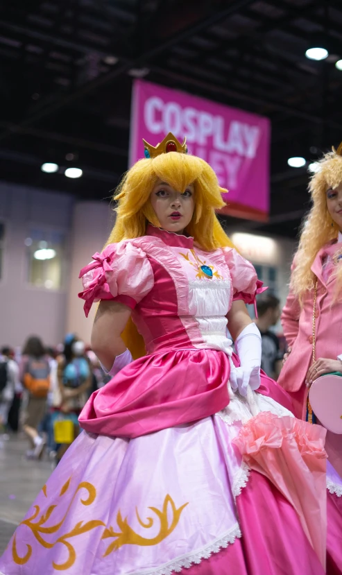 two cosplay girls posing for a po in costume