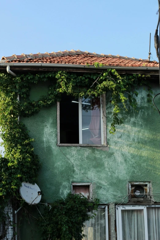 a green building with a red roof and ivy