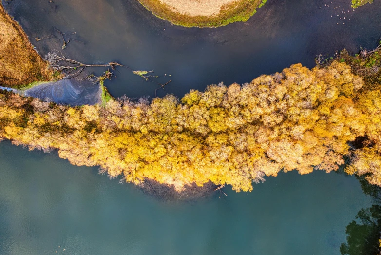 a picture taken from above of the lake and tree tops