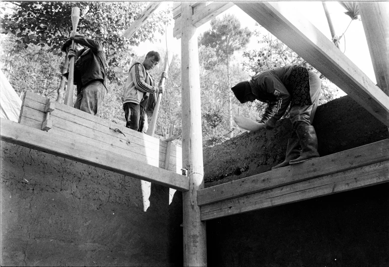 a group of people watching dogs climbing a roof