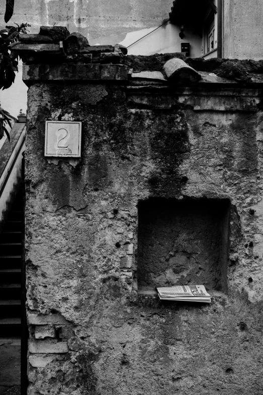 a brick wall and door with a plant