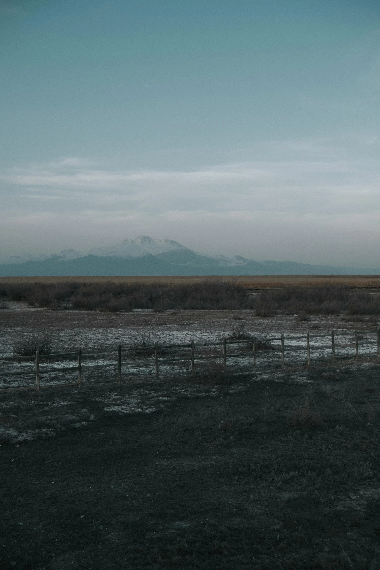 an open field with a mountain in the background