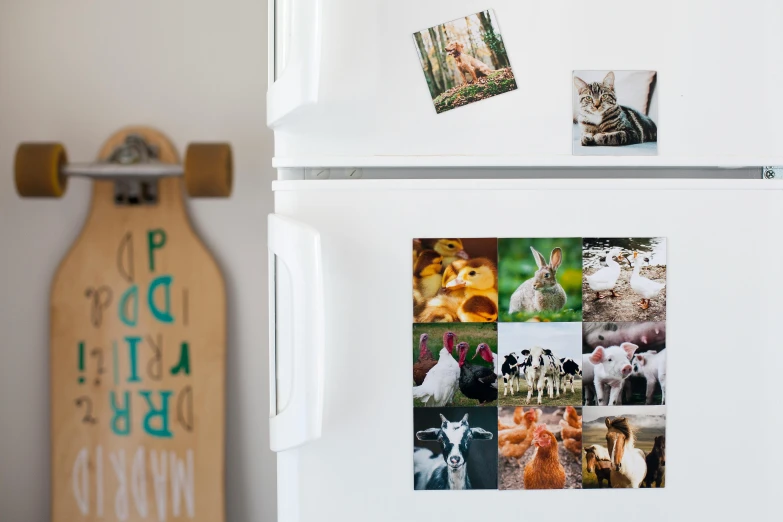 a refrigerator with a picture of animals on the front and bottom