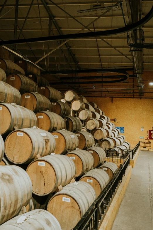 several stacked barrels of wine sit in an enclosure