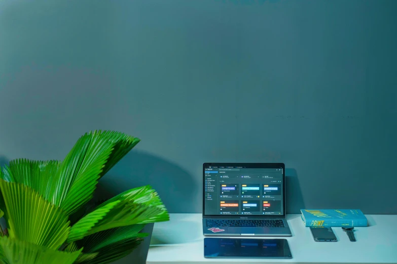 a laptop and plant are set on the desk