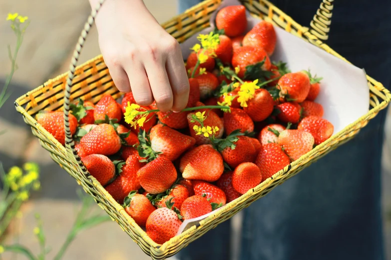 a person's hand pulling up strawberries in a basket