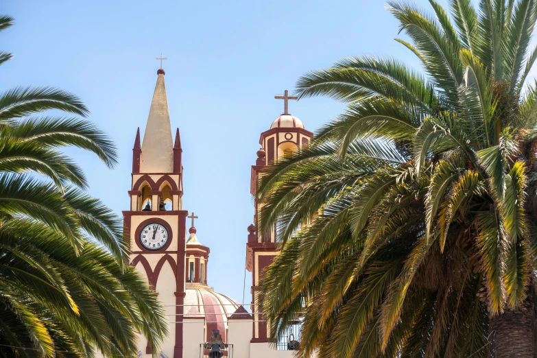 a church steeple surrounded by palm trees