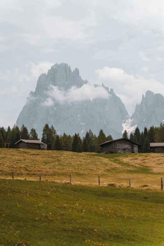 horses grazing in a large field next to a mountain