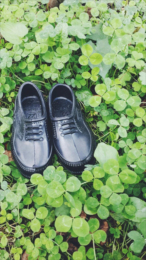 the black shoes are on the ground next to green plants