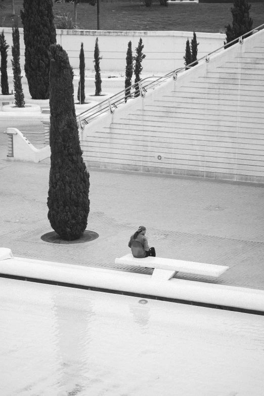 a black and white po of a bird perched in front of trees