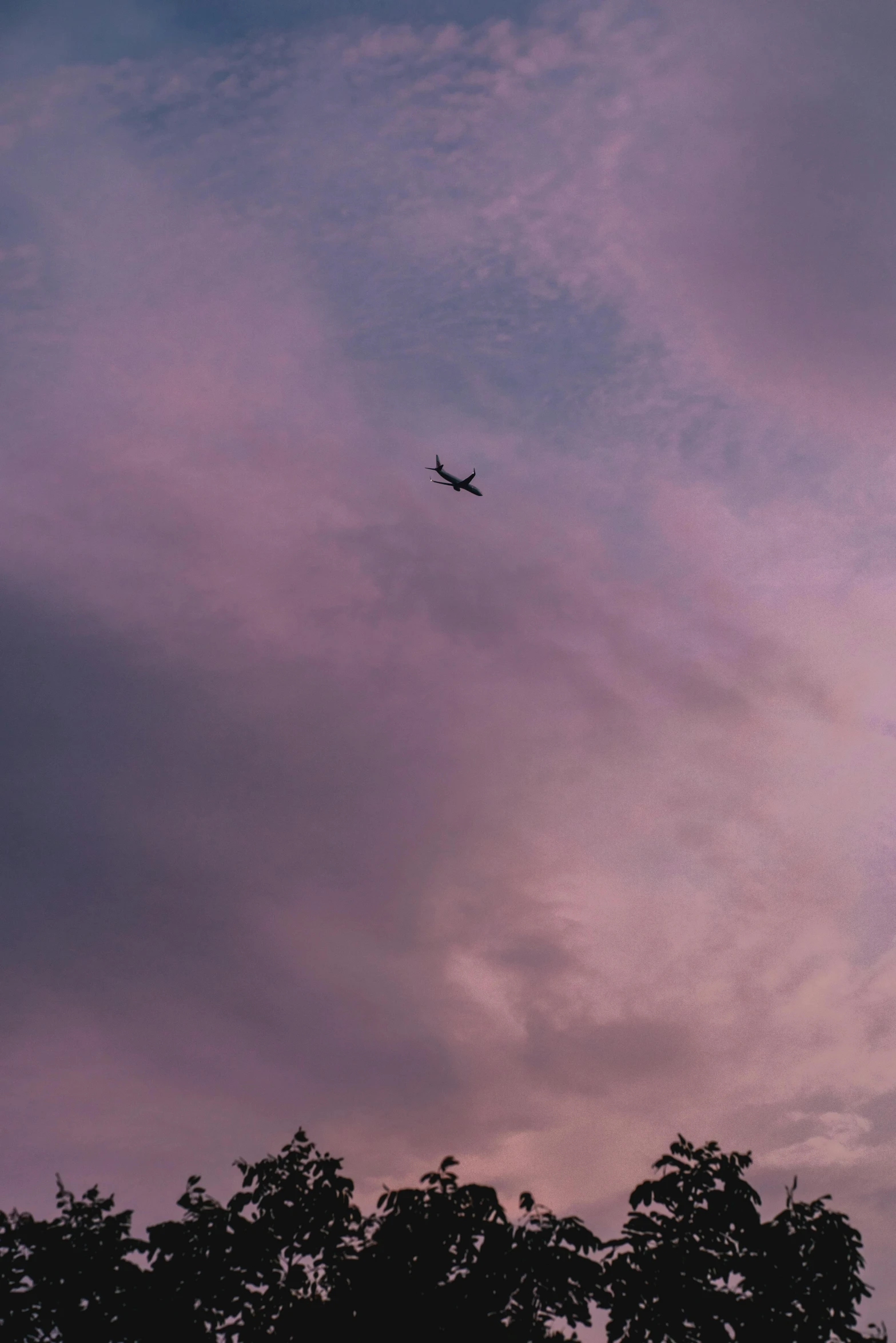 the airplane is flying in an extremely pink sky