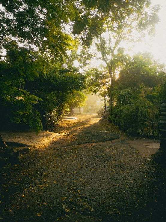 light is shining down on a street in the sunlight