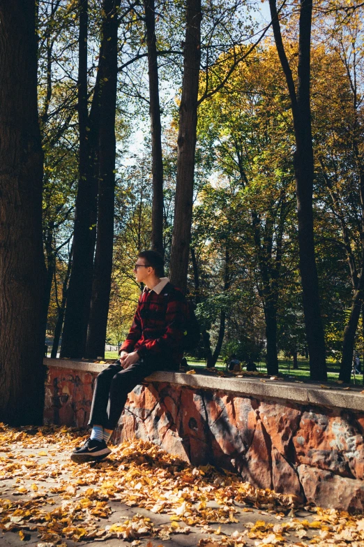 man sitting on bench in park with autumn leaves