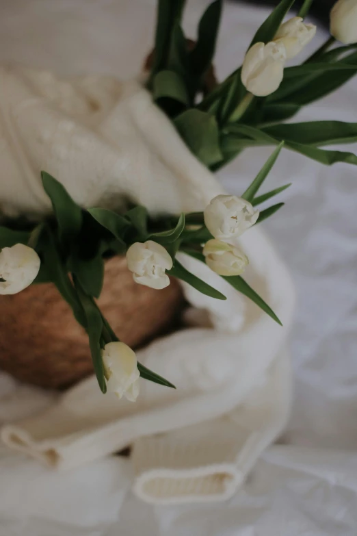 the flowers are in a brown vase on a blanket