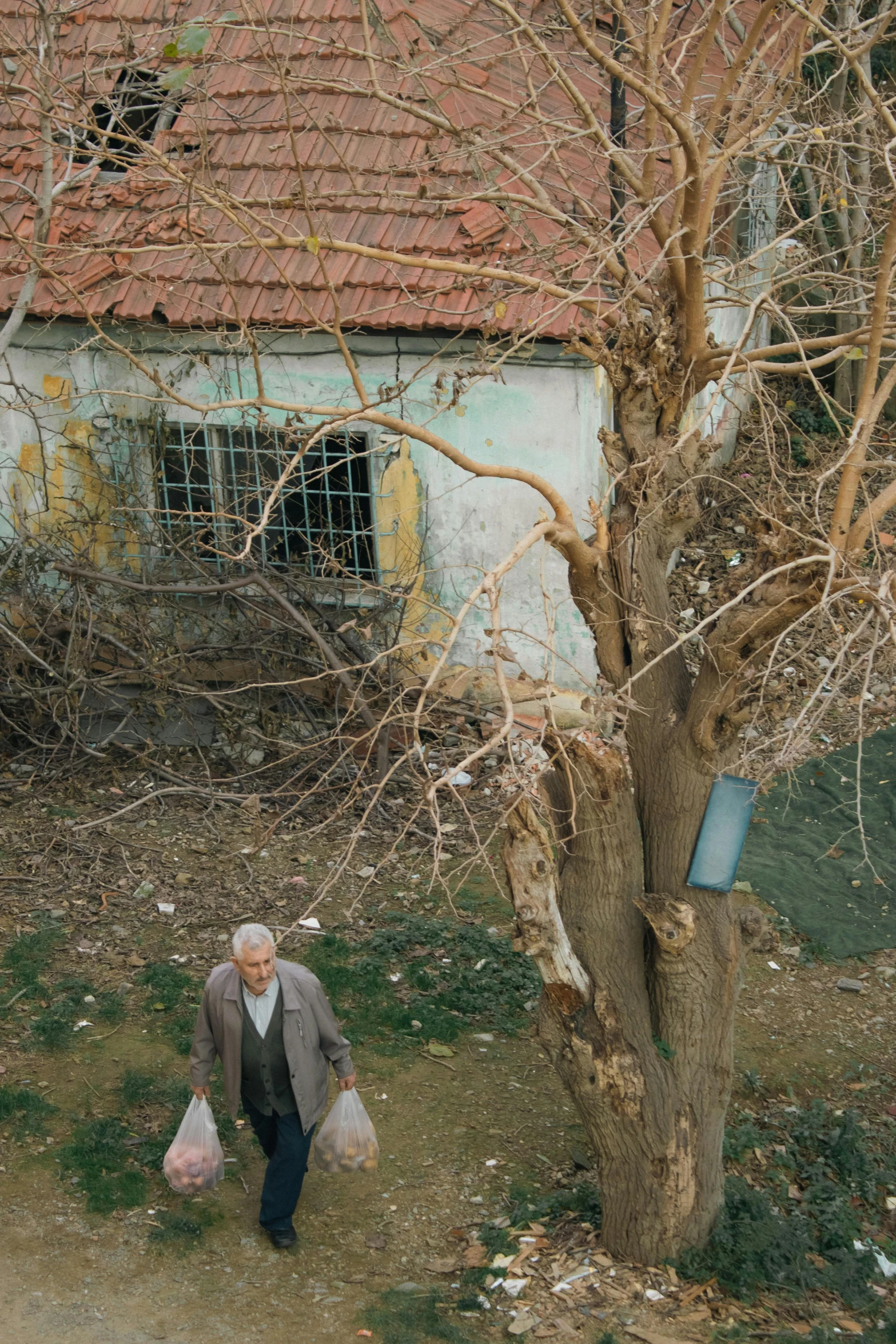 a man standing next to a bare tree in front of a dilapidated house