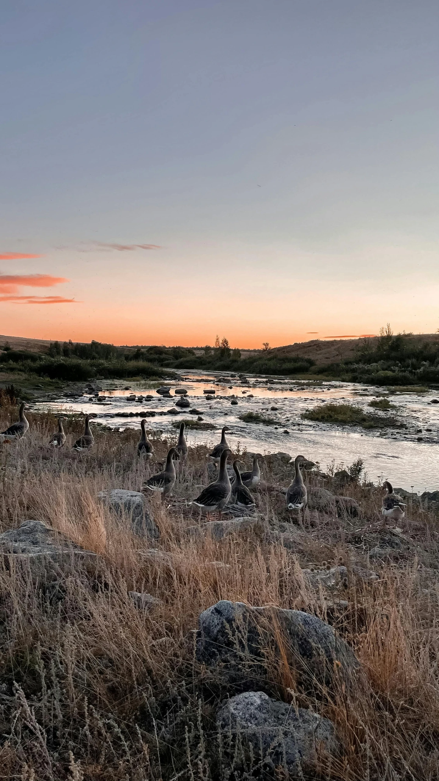 an image of a river at sunset in the middle of nowhere