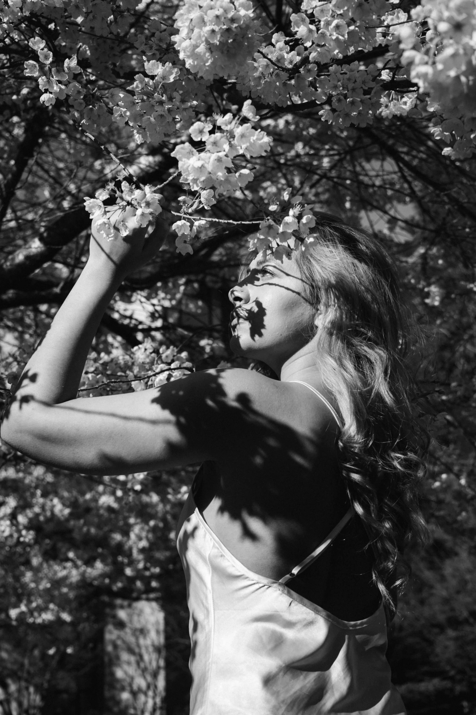 a woman standing under a tree holding her arms out