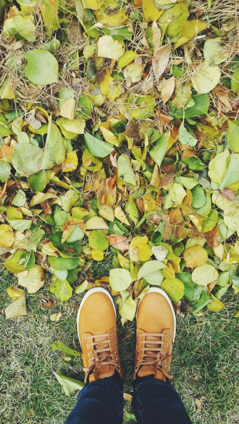 the feet of a person standing in the grass