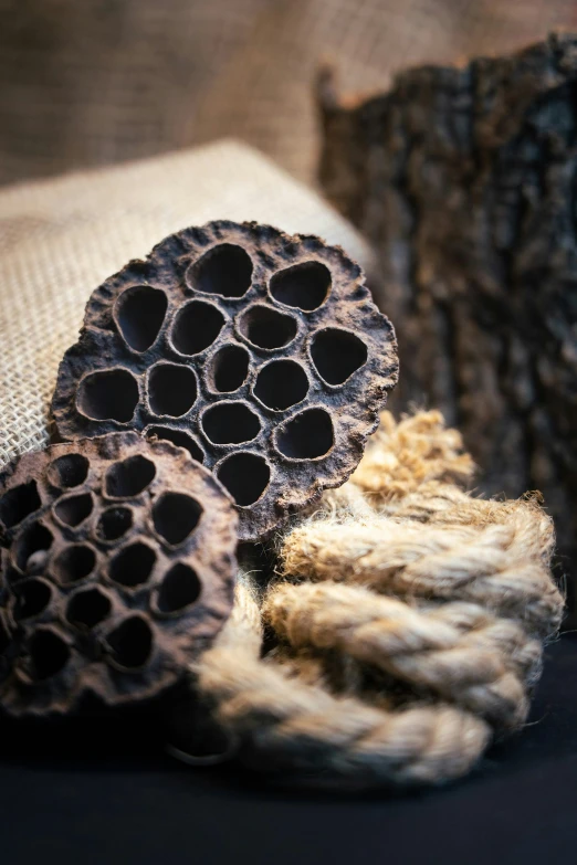 a pair of rope wrapped in an old - fashioned knot