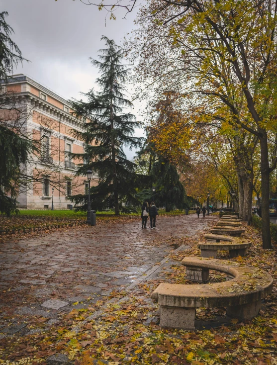 two men walk along a city street surrounded by leaf covered trees and leaves on the ground