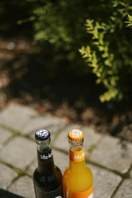 two beer bottles sitting on the ground next to a bush
