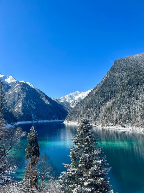 the water is clear and bright, surrounded by trees