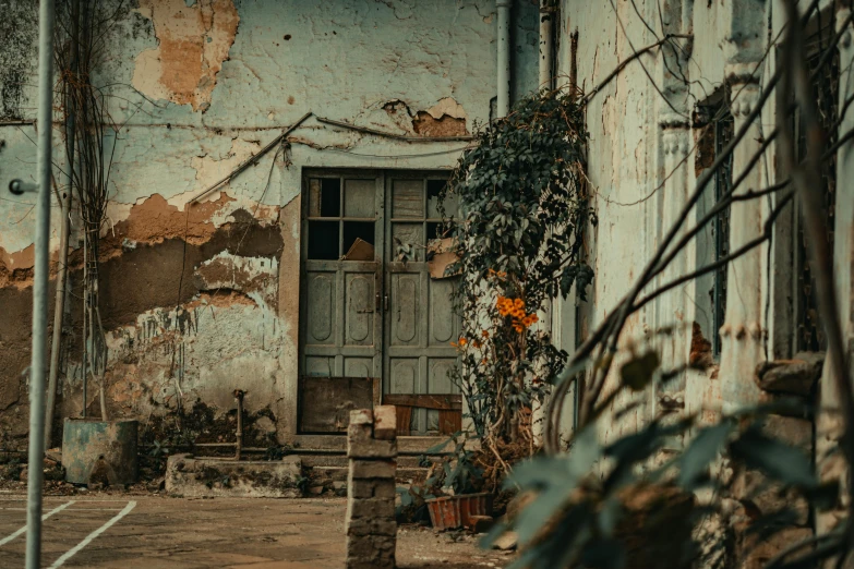 an old building with a door and flower