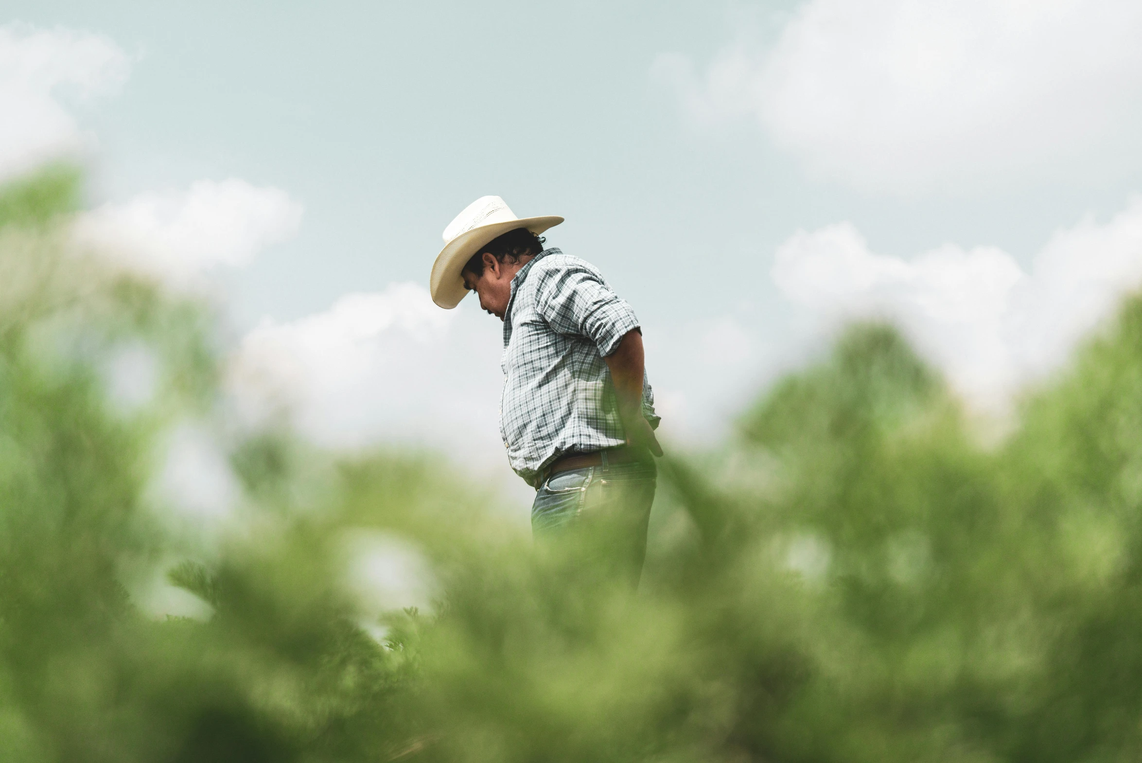 the man is standing in the field wearing a straw hat