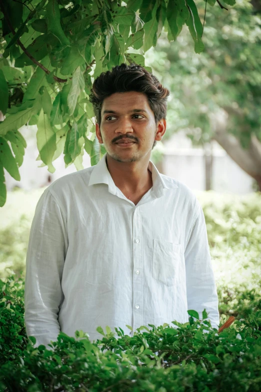 man in white shirt posing beneath tree leaves