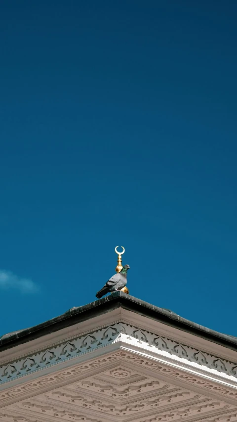 a bird sits on top of a roof in the clear blue sky