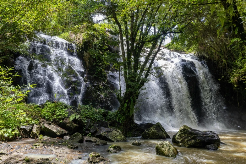 some water falls in the middle of some jungle