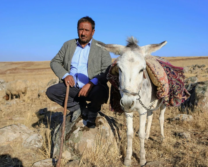 a man sitting on a rock next to a white cow