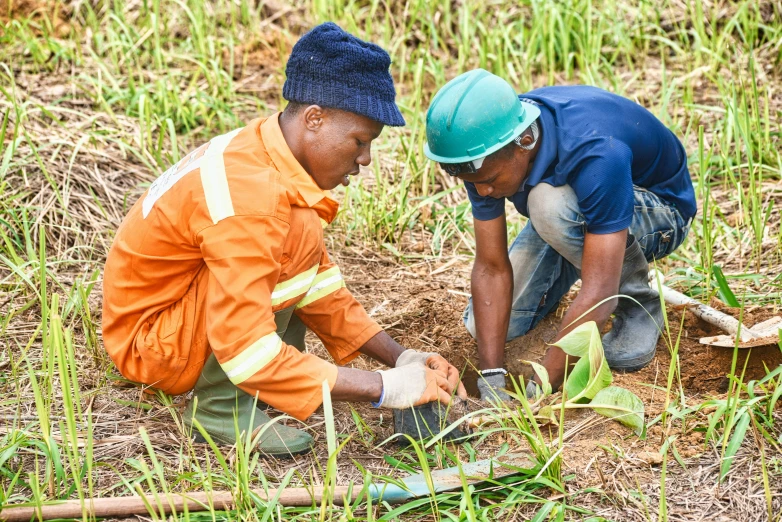 two men crouching in a field while working on a piece of land