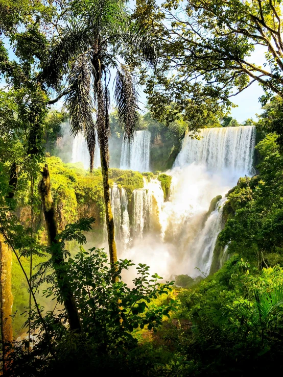 waterfalls and trees that are on the edge of water